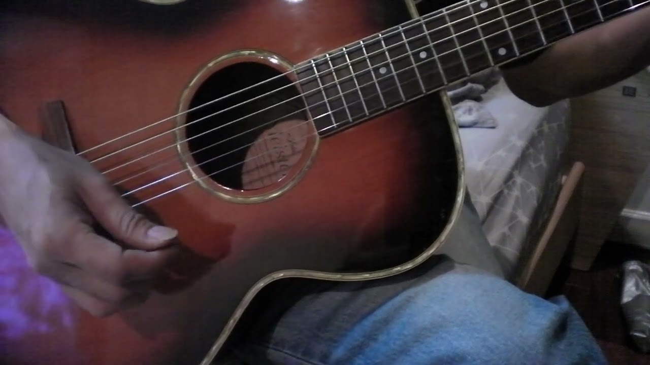 ARIA High End MEISTER SERIES Acoustic Guitar MSG-05 - YouTube