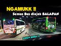 "LUAR BIASA !! BANTERNYA DILUAR LOGIKA.. " | Trip Aksi Bus Jawatimuran saat NGAMUK 🔥