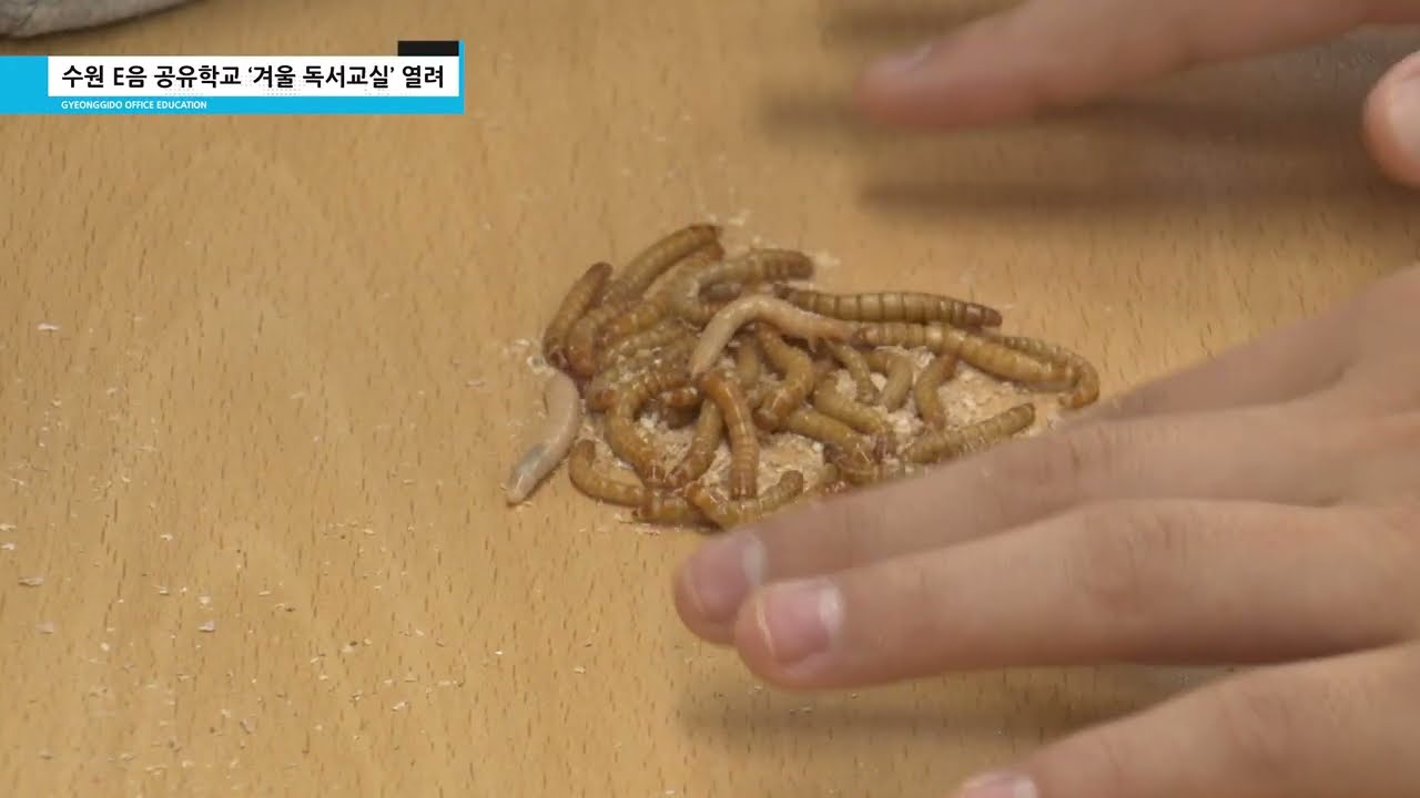 중앙아시아 5개국 교육협력 포럼, "미래 식량을 맛보다"... 수원 E음 공유학교 - 2026년 1월 4회ㅣ 경기도교육청