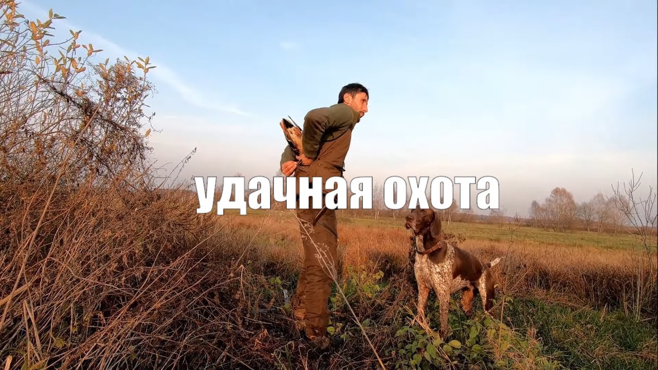 Охота на уток осенью - YouTube