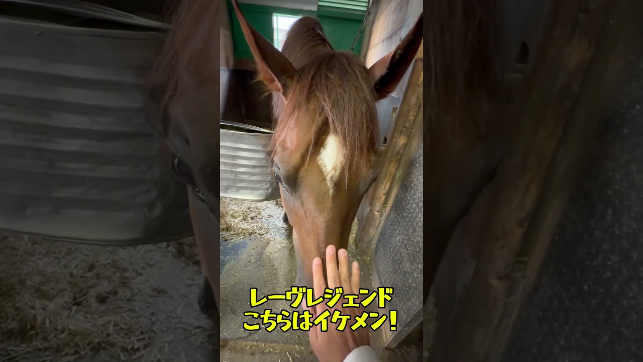人参たべられない馬はいる。