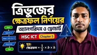 Algorithm and flowchart for finding the area of ​​a triangle | HSC ICT Chapter 5