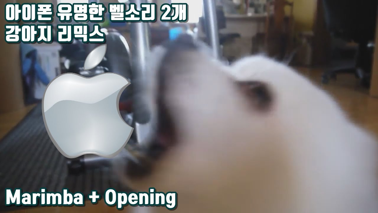 아이폰 벨소리 유명한 곡 2개 강아지 리믹스 iPhone Ringtone Marimba + Opening (Gabe the