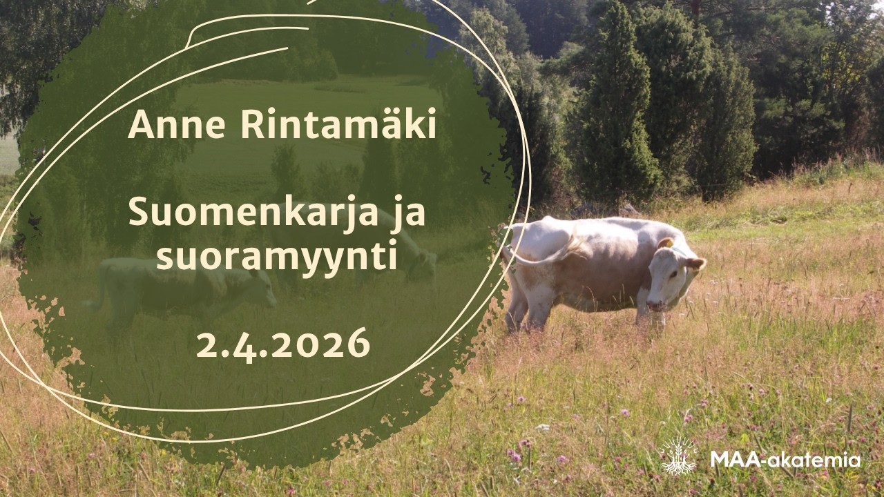 Anne Rintamäki: Suomenkarja ja suoramyynti 2.4.2026