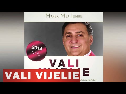 VALI VIJELIE - E BINE BINE FEAT NINEL DE LA BRAILA (OFICIAL 2014)
