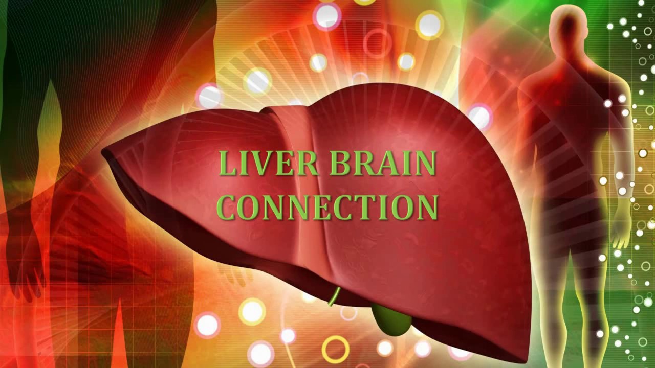 The Liver Brain Connection