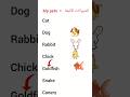 درس الحيوانات الأليفة السنة الثالثة ابتدائي انجليزية   انجليزي الثالثة ابتدائي