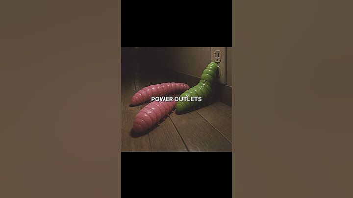 Run If You See This FLOWER