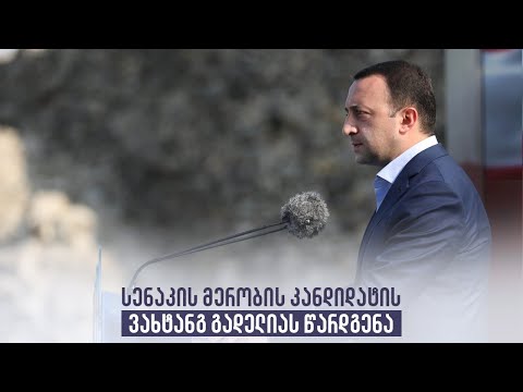 სენაკის მერობის კანდიდატის ვახტანგ გადელიას წარდგენა