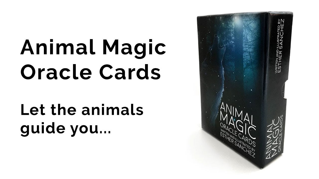 Animal Magic Oracle Cards - YouTube