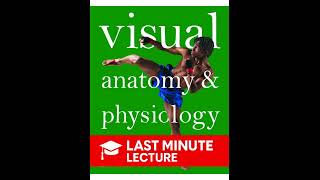 The Autonomic Nervous System | Chapter 14