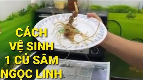 CÁCH VỆ SINH SÂM NGỌC LINH TRƯỚC KHI SỬ DỤNG | Sâm Ngọc Linh HVT