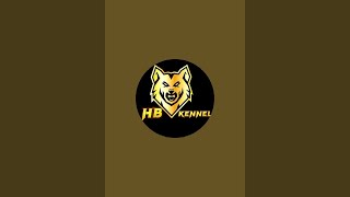 HB Kennel is live!