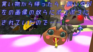【ゆっくりにっき茶番】買い物から帰ったら、飼いゆのさくやが糞饅頭達にボコボコにされていたので……【ゆ虐注意】 screenshot 3