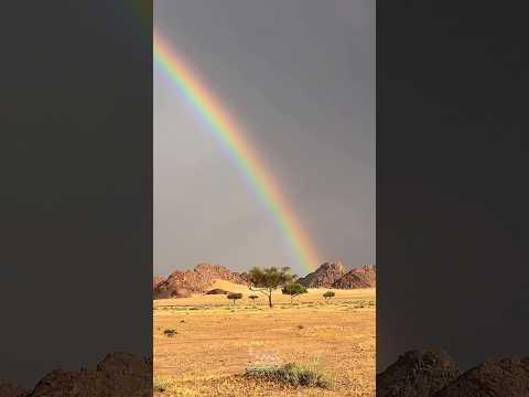 يابو ناصر راحة البال في قل الكلام