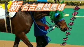 ４月８日　弥富に移転の新名古屋競馬場へ行ってきました！