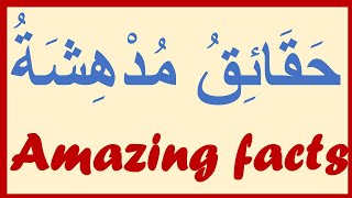 🍧LEVEL1.LEARN ARABIC (MSA)THROUGH SHORT READING COMPREHENSION/ARTICLE: SCIENCE FACTS ABOUT OUR BODY. screenshot 5