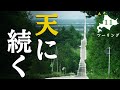 【北海道ツーリング】絶景路！天に続く道を走る with W800 STREET #11【バイク旅】