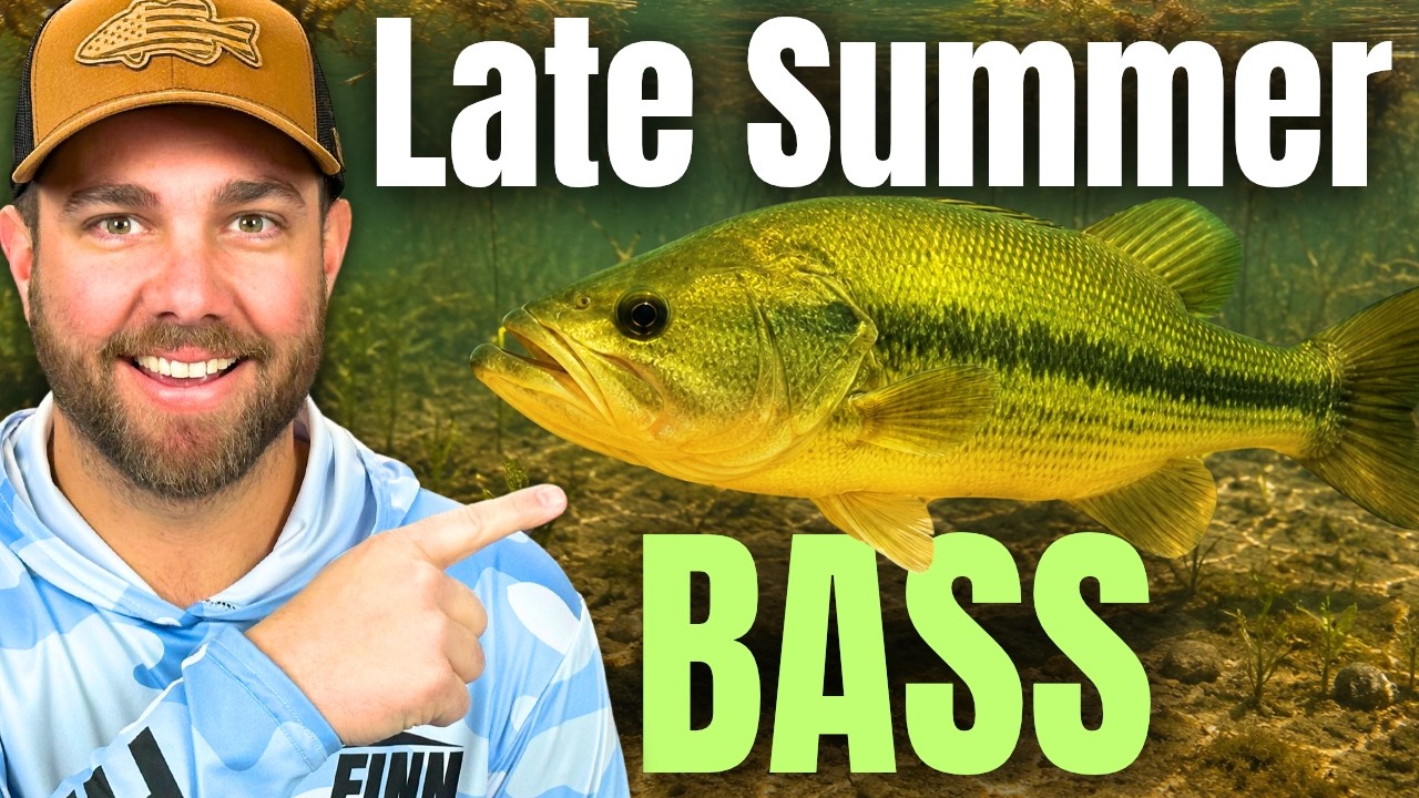 3 TRICKS For Late Summer BASS