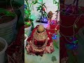 Angna padharo Maharani @officialtarotstudio #i #tarot #love #youtube #youtubeshorts #yttrending