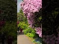 National Botanical Gardens Dublin Ireland 🇮🇪 #ireland #dublin #dublinireland