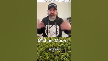 Efficient Video Editing: Color-Coding Your Footage