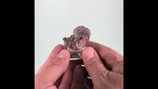  vidéo