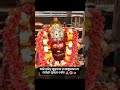 ଆଜି ପବିତ୍ର ଫଗୁଣ ମାସ ର ଶୁକ୍ରବାର ରେ ମା ଠାକୁରାଣୀ ତାରିଣୀ ପ୍ରଭାତ ଦର୍ଶନ 🙏🥥