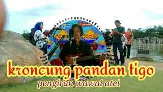 INSTRUMEN KLASIK LAMPUNG ABUNG KRONCUNG PANDAN TIGA | PETIKAN GUITAR KOSONG TANPA VOKAL | PNWAWAI