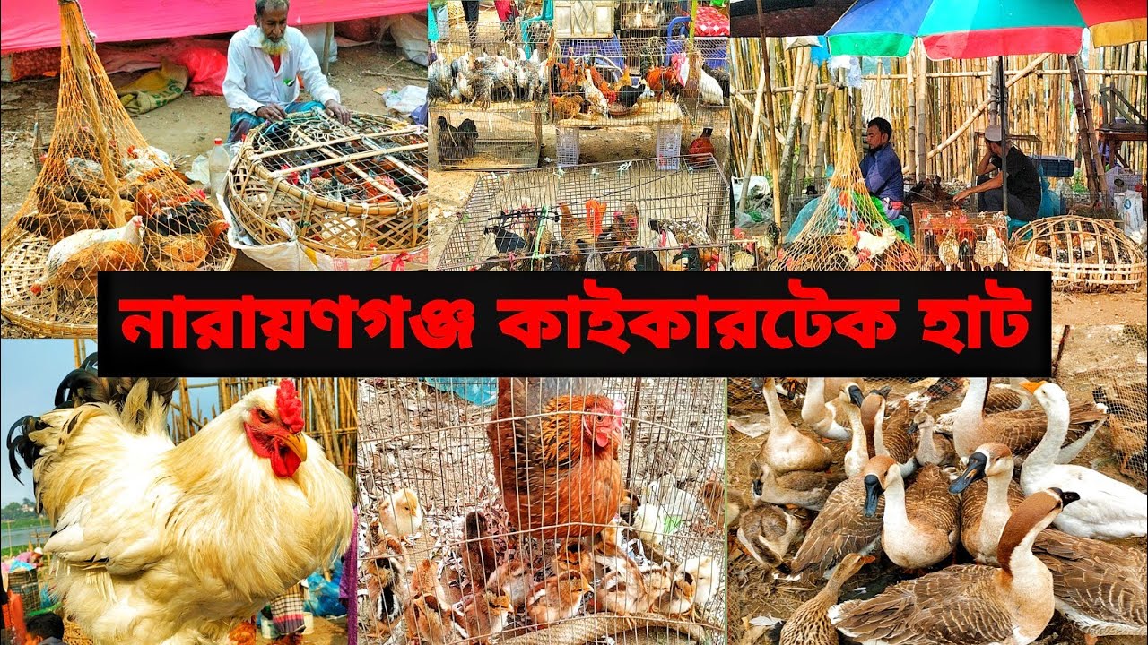 কাইকারটেক হাট নারায়ণগঞ্জ। village market Bangladesh. Village market