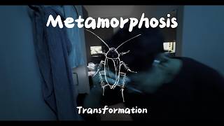 Short film 2026 - The Metamorphosis Transformation