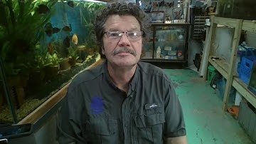 Rick Crosslin Science - Sound Vibrations Indy Style