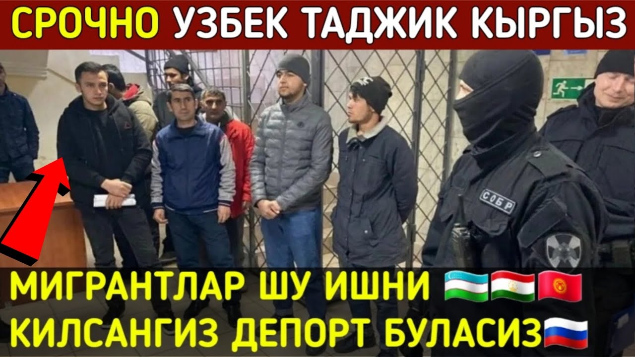 Депортация таджиков 2024 после теракта