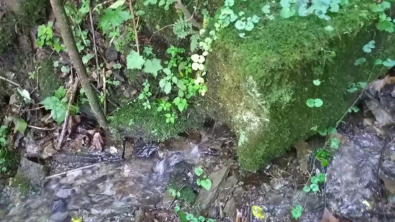 West Virginia Mountain Spring Cabin Water Source July 2019