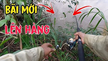 Câu Cá Tra Sông Bé...Đụng Hàng...Vừa Quăng Mồi Là Pen Cần Quá Phê...!