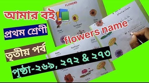 Amar Boi Class 1 Part 3 Page 269,272 & 273 @primaryschooleducation34