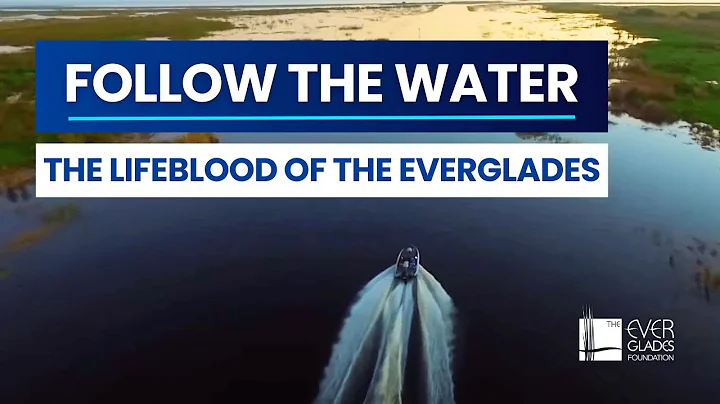 An Everglades Documentary: Follow the Water