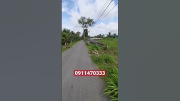 Đất giá ngợp tắt thở tại Tiền Giang #bdstiengiang #nhadep #bds #tongtuanh
