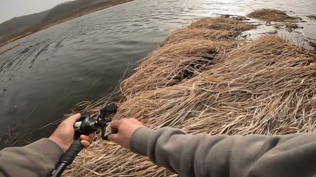 2026년 2월 배스낚시