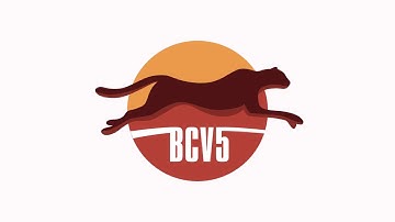 Fast & Efficient Db2 Data Migration