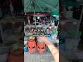 タイで250円のワンプレート#海外 #海外旅行 #streetfood #street #屋台飯 #shorts