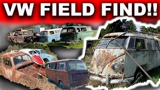 Volkswagen Field Find!! Huge Collection of Buses!! Split Window Bus, Bay Window, Camper, Beetles!!