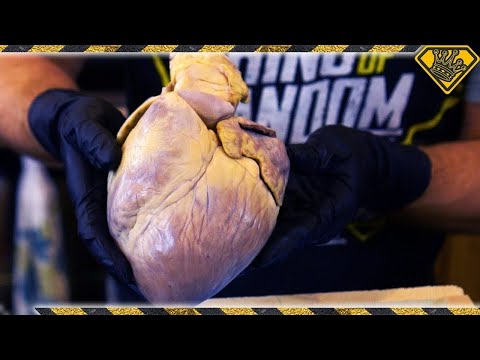 A Giant Heart For Valentine&rsquo;s Day | How To Make Silicone Heart Mold From A Real Heart