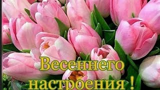 Доброе Весеннее Утро!!! Наступило чудесное время!! И это время называется ВЕСНА!!!