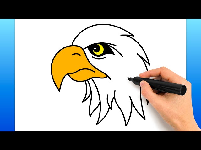 ワシの描き方 (簡単な描画チュートリアル) - YouTube