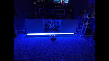 GE Lighting CYNC Indoor Smart Plug, Bluetooth and Wi-Fi Outlet Socket, Works with Alexa and G Review