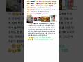 한국인 #Worldpeace #fyp #viral #trending #kindness 👋🙂🍀🕊 TSD 100 Worldpeace Tunsi Swissif Dukti1 TSD