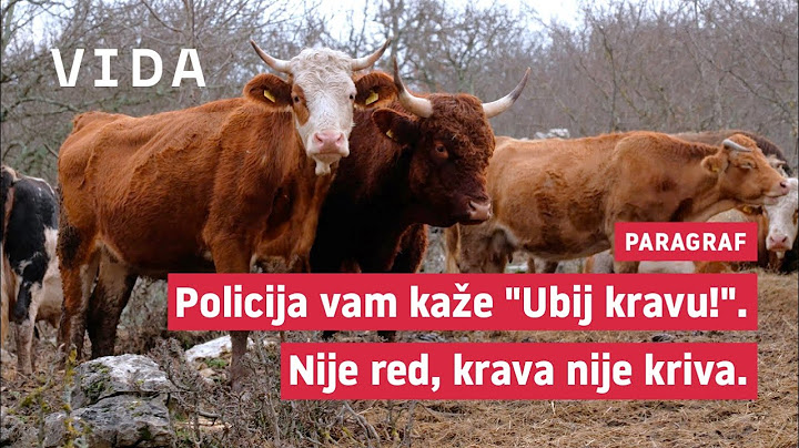 Paragraf #18 - Krava i užas