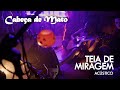 Cabeça de Mato - Teia de Miragem (Acústico)