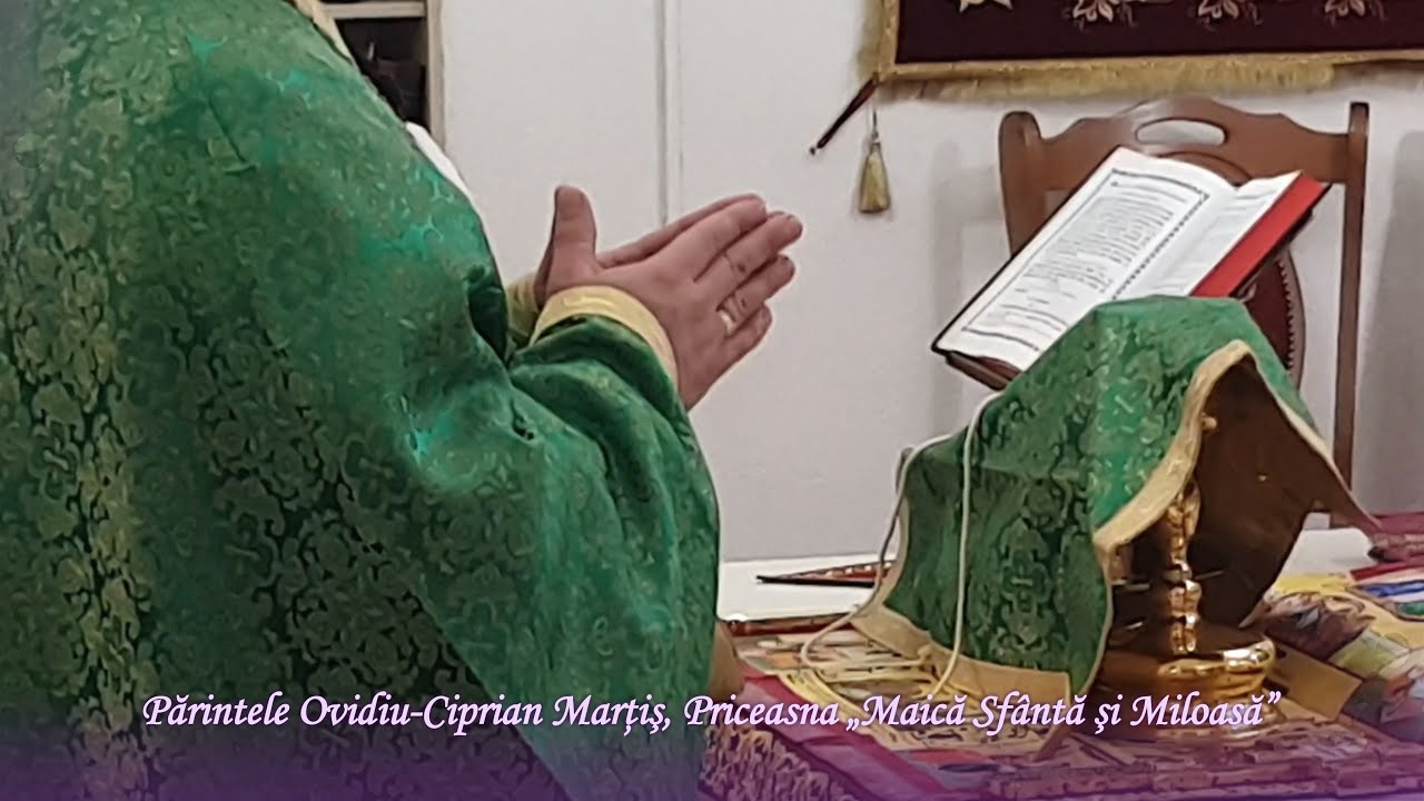 Părintele Ovidiu-Ciprian Marţiş, Priceasna „Maică Sfântă și miloasă”